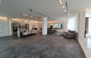 Exclusive I Luxurious Modern Villa | Basement