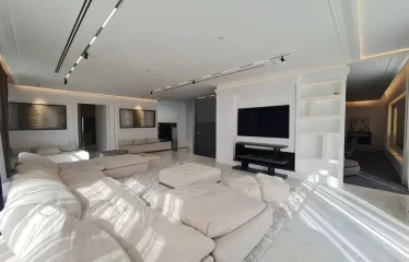 Exclusive I Luxurious Modern Villa | Basement